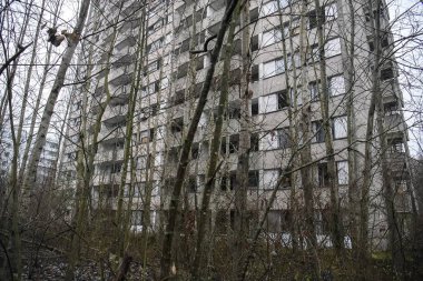 Terk edilmiş hayalet kasaba Prypiat. Aşırı büyümüş ağaçlar ve Chornobyl sınırlama bölgesinde yıkılan binalar. Aralık 2019