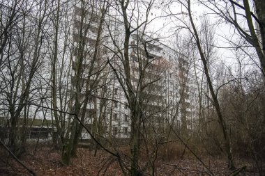 Terk edilmiş hayalet kasaba Prypiat. Aşırı büyümüş ağaçlar ve Chornobyl sınırlama bölgesinde yıkılan binalar. Aralık 2019
