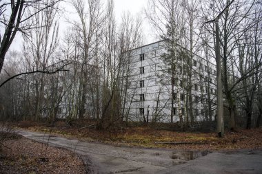 Terk edilmiş hayalet kasaba Prypiat. Aşırı büyümüş ağaçlar ve Chornobyl sınırlama bölgesinde yıkılan binalar. Aralık 2019