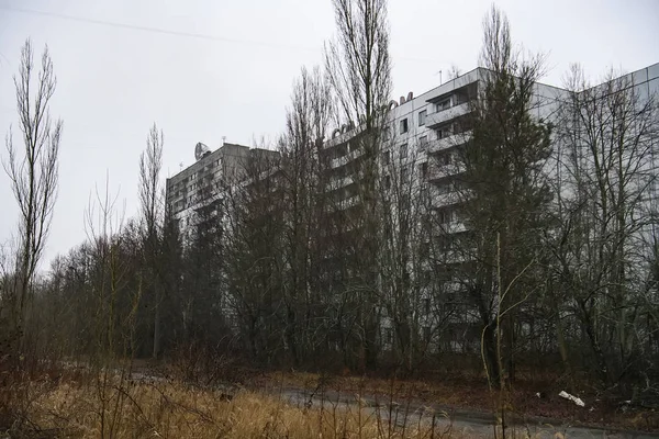 Abandoned ghost town Prypiat. Overgrown trees and collapsing buildings in Chornobyl exclusion zone. December 2019 — ストック写真