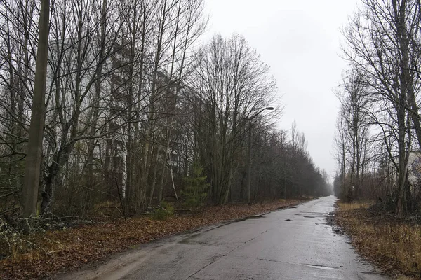 Cidade fantasma abandonada Prypiat. Árvores cobertas e edifícios em colapso na zona de exclusão de Chornobyl. Dezembro de 2019 — Fotografia de Stock