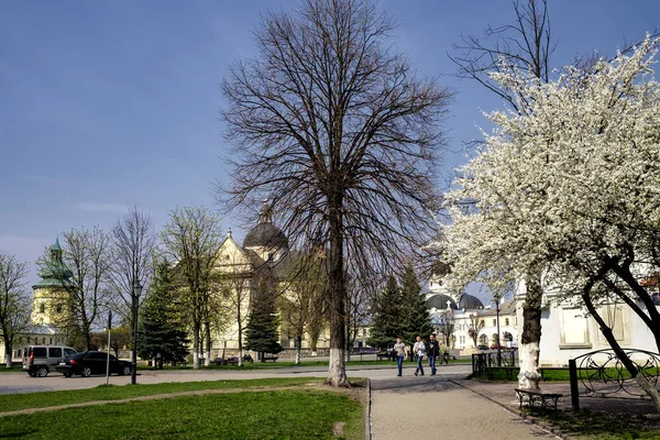 Kościół św. Wawrzyńca w historycznym centrum Żowkwy, obwód lwowski, Ukraina. Kwiecień 2016 — Zdjęcie stockowe