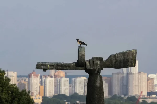 The crow sits on a monument at the World War II Museum in Kyiv, Ukraine. July 2008 — Stok Foto