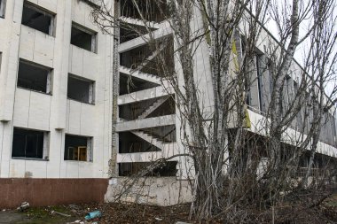 Terk edilmiş hayalet kasaba Prypiat. Kornobil sınırlama bölgesindeki aşırı gelişmiş ağaçlar ve yıkılan binalar.. 