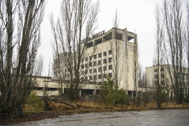 Terk edilmiş hayalet kasaba Prypiat. Kornobil sınırlama bölgesindeki aşırı gelişmiş ağaçlar ve yıkılan binalar.. 