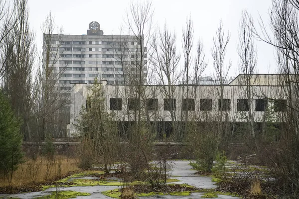 Opuštěné Město Duchů Prypiat Zarostlé Stromy Hroutící Budovy Chornobylu — Stock fotografie