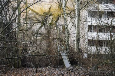 Terk edilmiş hayalet kasaba Prypiat. Kornobil sınırlama bölgesindeki aşırı gelişmiş ağaçlar ve yıkılan binalar.. 