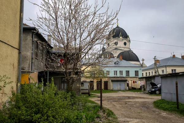 Старовинний Базиліанський Монастир Різдва Христового Жовкві Львівська Область Україна — стокове фото