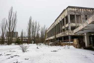 Terk edilmiş hayalet kasaba Prypiat. Aşırı gelişmiş ağaçlar ve yıkılan binalar. Pripyat, Kornobil Yasaklama Bölgesi. 