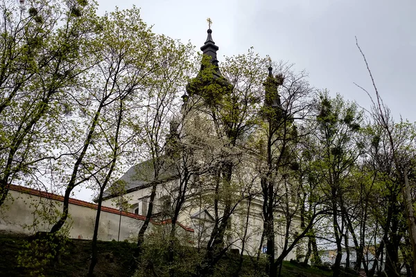 Karmeliterkirche Lviv Ukraine — Stockfoto