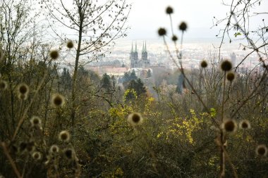 Panoramic view of Bamberg landscape with Cathedral Bamberger Dom , Upper Franconia, Bavaria, Germany. clipart