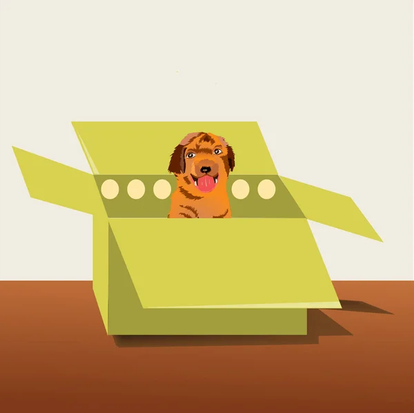 Puppy in the box — Stock Vector