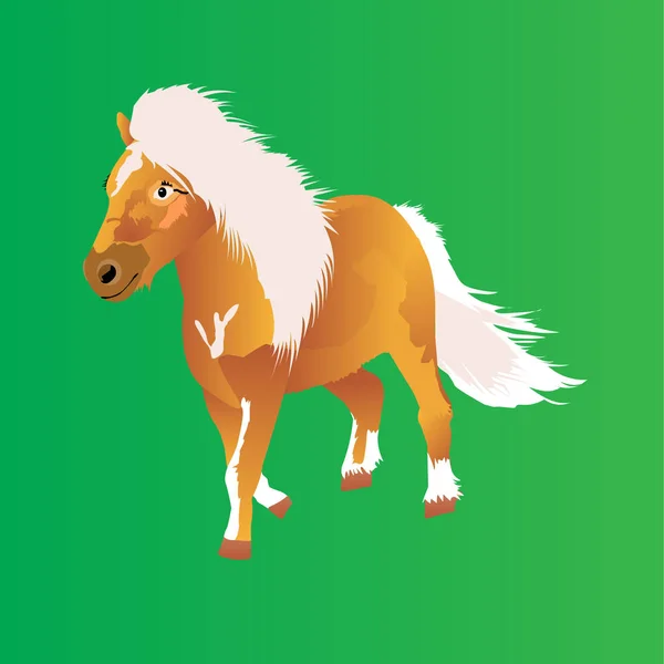 Pony koně — Stockový vektor