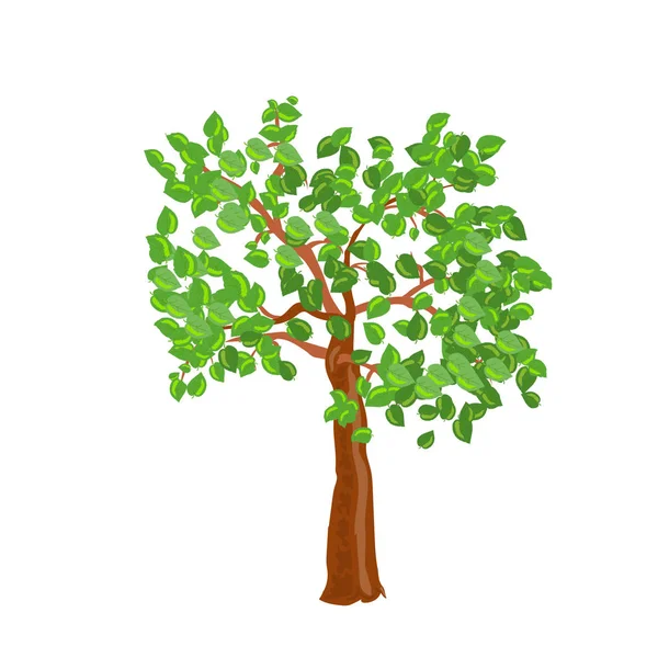 Genç ağaç — Stok Vektör