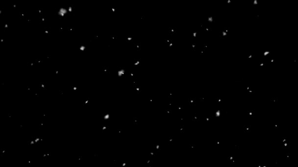 Высококачественная Анимация Повторяющая Падение Снега Анимация Чёрном Фоне Падение Настоящих — стоковое видео