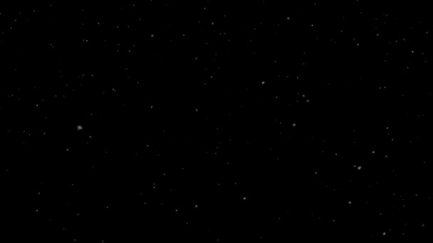 Высококачественная Анимация Повторяющая Падение Снега Анимация Чёрном Фоне Падают Маленькие — стоковое видео