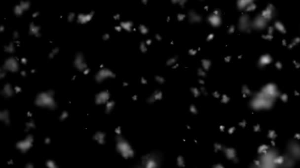 高质量的动作动画击退了降雪 动画背景是黑色的 真正的大雪纷飞 多雪的冬天 — 图库视频影像