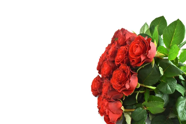 Ramo de rosas rojas aisladas sobre fondo blanco. Feliz día de las madres, día de las mujeres, boda y día de San Valentín. Tarjeta de felicitación con espacio para copiar . —  Fotos de Stock