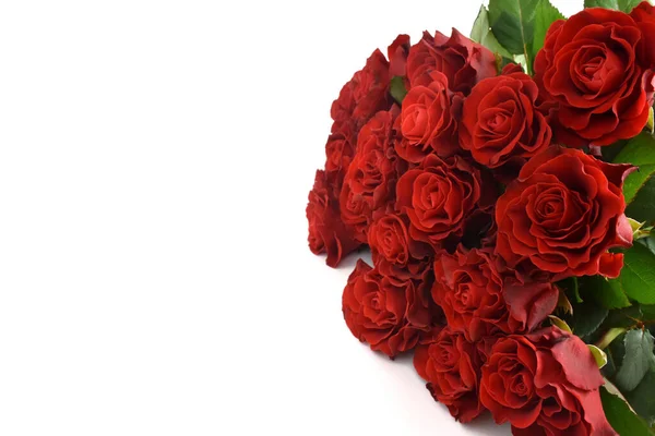 Ramo de rosas rojas aisladas sobre fondo blanco. Feliz día de las madres, día de las mujeres, boda y día de San Valentín. Tarjeta de felicitación con espacio para copiar . —  Fotos de Stock