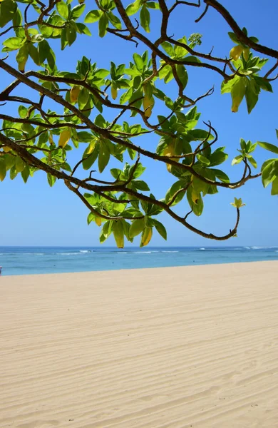 Fehér Homokos Strand Kék Tenger Zöld Strand Fák Balin Indonézia — Stock Fotó