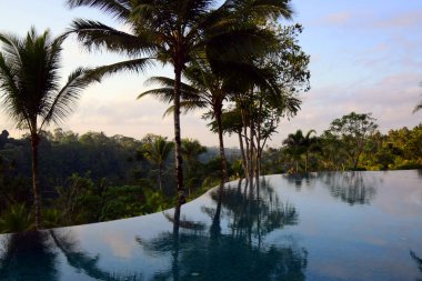 Yağmur ormanlarında palmiye ağaçları olan sonsuzluk havuzu.