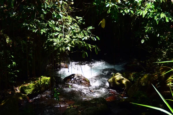 Río Selva Tropical Bali Imagen de archivo