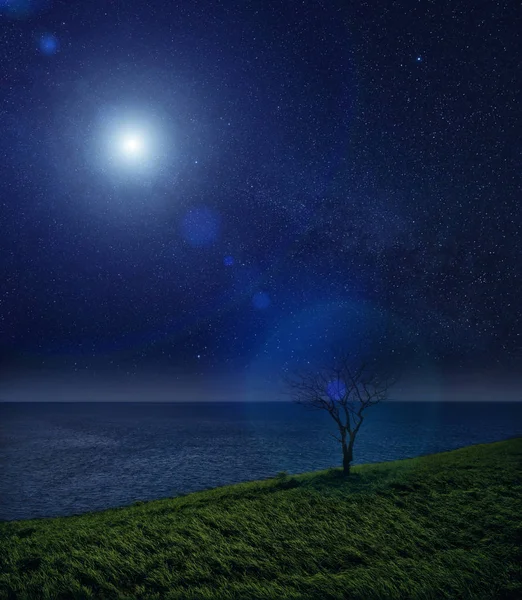 Одинокое дерево и сияние в ночном небе. ночной пейзаж . — стоковое фото