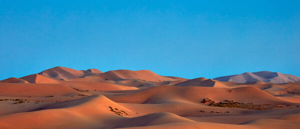 Beautiful Sand dunes in the Gobi desert, Mongolia. View of the beautiful sand dunes.