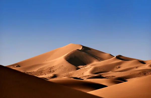 Gyönyörű Homokdűnék Góbi Sivatagban Mongóliában Kilátás Gyönyörű Homokdűnék — Stock Fotó