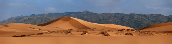 Gyönyörű Homokdűnék Góbi Sivatagban Mongóliában Kilátás Gyönyörű Homokdűnék — Stock Fotó