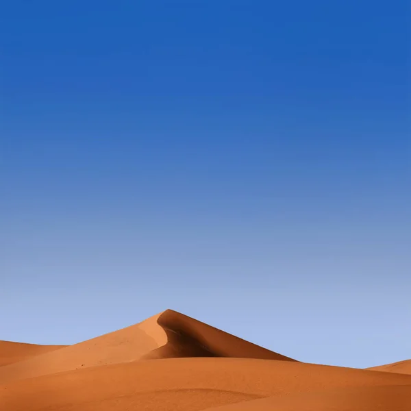 Όμορφοι Αμμόλοφοι Στην Έρημο Γκόμπι Μογγολία Προβολή Των Όμορφων Αμμόλοφων — Φωτογραφία Αρχείου