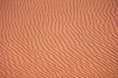 Kum geçmişi. Çölde kum dokusu dalgası. Kumullar.