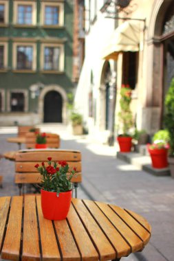 Gül bush ve lastik çizmeler