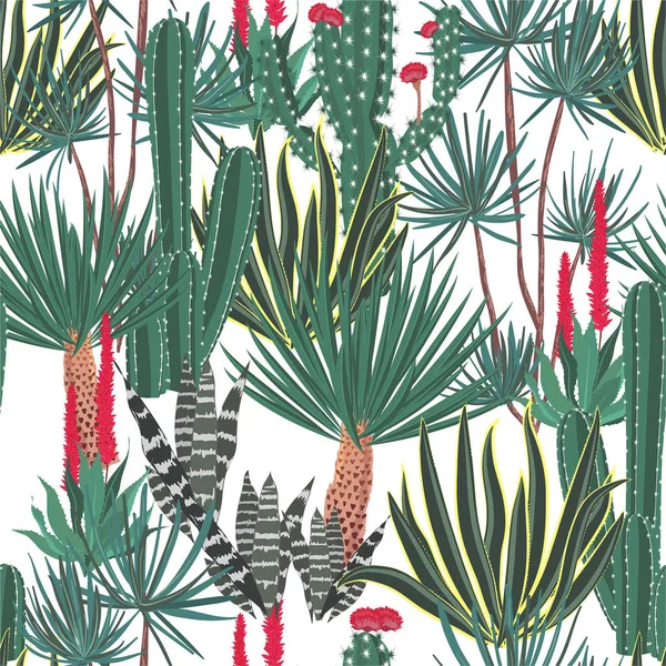 Mooie met de hand getekende bloeiende cactus, cactussen, vetplanten, colofru — Stockvector
