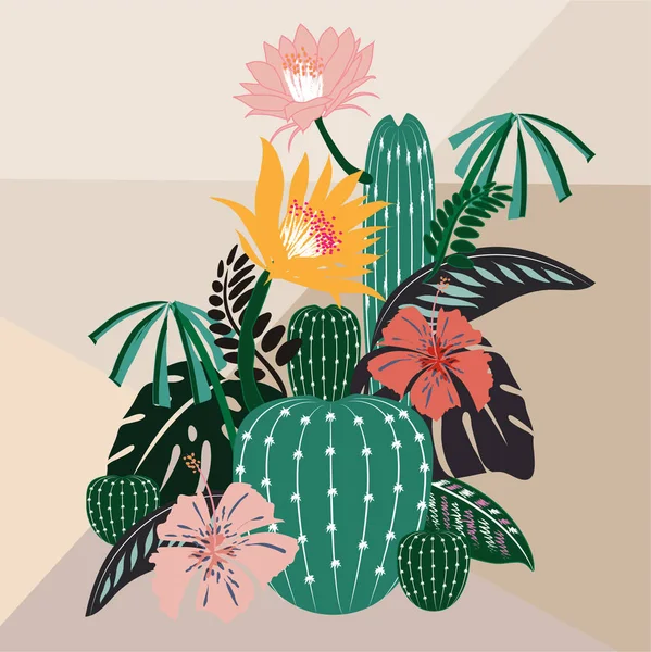 Verschillende soorten cactusplanten vector — Stockvector