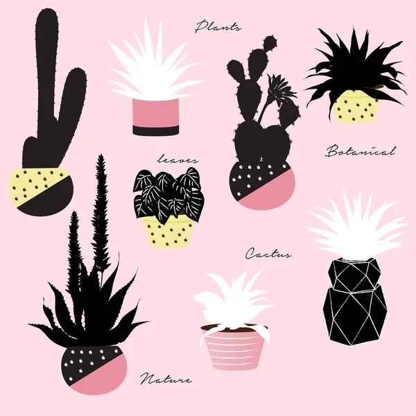 Prachtige Cactus collectie. — Stockvector