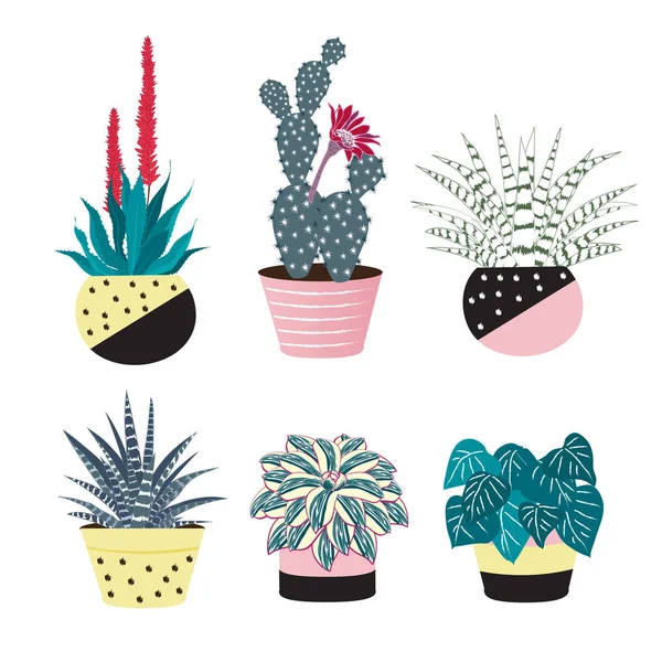 Cactus con flor y aloe vera en macetas de colores  . — Vector de stock