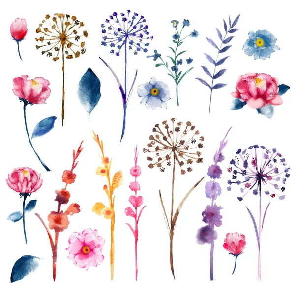 Akvarell Uppsättning Botaniska Blommande Naturliga Element Vilda Blommor Kvistar Och — Stockfoto