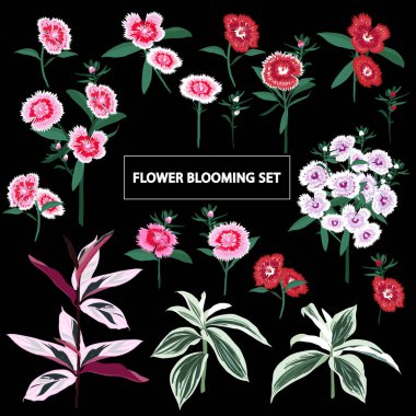 Güzel yaz çiçekleri, çiçek açan vahşi yaz çiçekleri, botanik doğal çizim, elinde siyah çizim tarzı..