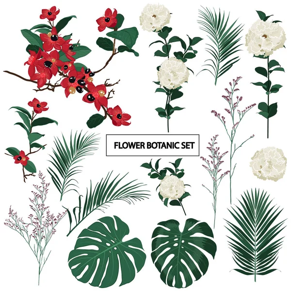 Set Van Mooie Zomer Wilde Bloemen Met Bloeiende Tuin Bloemen — Stockvector