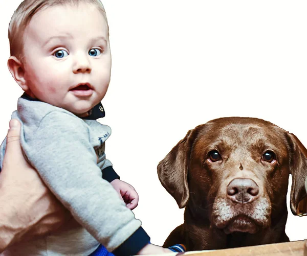 Niño sonriente con el perro — Foto de Stock