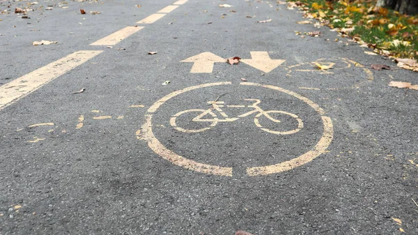 Bicycle lane on the side of a city road in the fall. Road marking in the form of two oncoming arrows on an asphalt path in the autumn park. Fallen leaves in the forest. Fall season concept