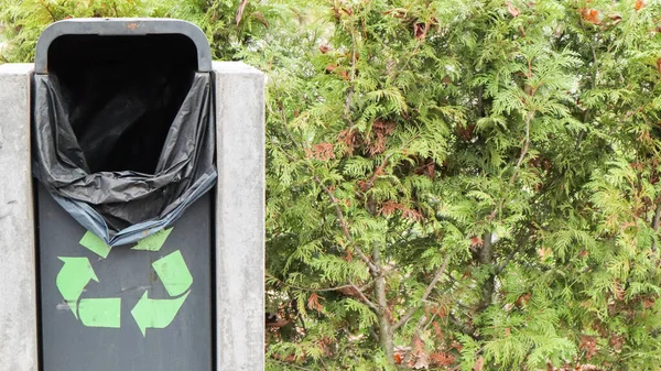 秋天公园里有新的绿色垃圾桶. 在公园内的一个塑料和混凝土垃圾箱的特写。垃圾箱位于公园的后面，周围有许多树木和灌木丛 — 图库照片