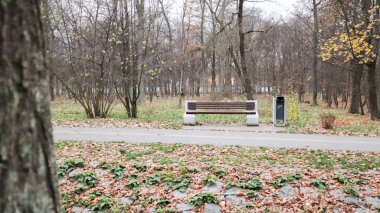 Sonbahar parkında insanların olmadığı boş bir bank. Öğleden sonra, ağaçlar, gökyüzü ve sonbahar yaprakları arka planda görünür. Parktaki ağaçların altında yapayalnız bir bankla sonbahar manzarası.