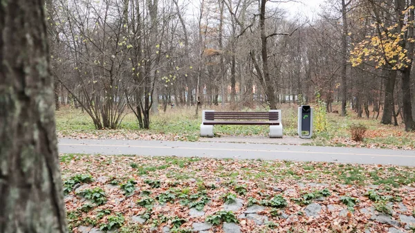 One empty bench without people in the autumn park. In the afternoon, trees, sky and autumn leaves are visible in the background. Autumn landscape with a lonely bench under the trees in the park. — Stockfoto