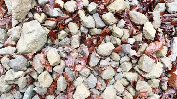 gray rounded stones with fallen leaves close-up. Close-up Colorful stones on the ground with Dry leaf and some Wool. Pattern Stone. Natural stone on floor.