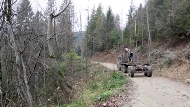 Ukrajina, Yaremche - 20. listopadu 2019: velký kamion s prázdným karoserií jede po polní cestě v lese pro čerstvě řezané klády. Přeprava dřeva po silnici na horské silnici s přívěsem — Stock video