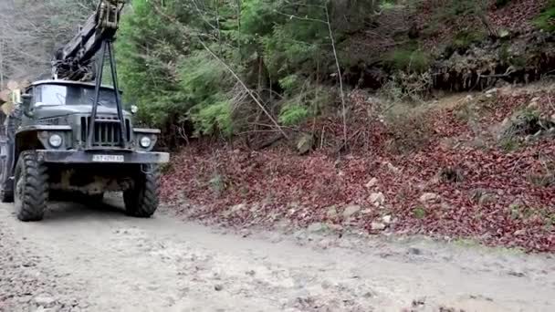 Ucraina, Yaremche - 20 novembre 2019: un grande camion con un corpo pieno di legno appena segato. Trasporto di legname su strada su strada di montagna con rimorchio. I tronchi appena tagliati vengono impilati di fila . — Video Stock