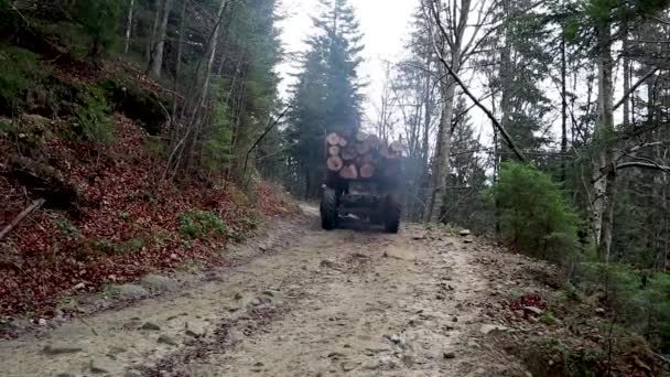 Ukrajna, Yaremche - November 20, 2019: egy nagy teherautó egy teljes test frissen fűrészelt fa. Fa közúti szállítása hegyi úton, pótkocsival. A frissen vágott rönköket egymás után rakják össze.. — Stock videók