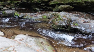 Sonbaharın başında ve yazın sonunda ormandaki bir dağ nehrinin manzarası. Doğal bir nehirde su. Nehirli güzel ve rahatlatıcı bir orman. Dağ ormanının derinliklerinde bir nehir. Doğa bileşimi